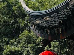 -深圳国际园林花卉博览园