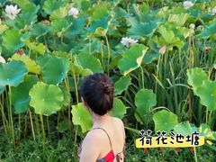 -上海怡沁园度假酒店