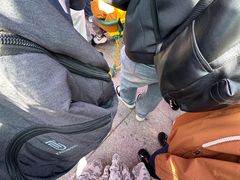 -鄂尔多斯野生动物园