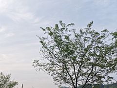 -大唐贡茶院