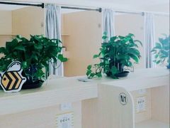 -蜜蜂读书·24h自习室(角门西店)