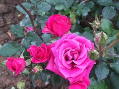 -人民公园(罗湖区)