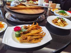 -老村长大锅炖羊肉(榆林大道店)