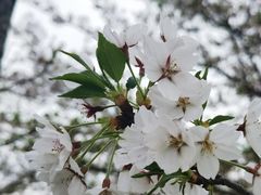-龙美术馆(西岸馆)
