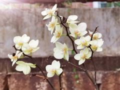 -厦门良筑精品酒店(厦门中山路店)