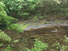 -关门山森林公园
