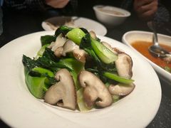 -河畔春天时尚餐厅