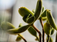 -隹木咖啡馆(宝龙广场店)