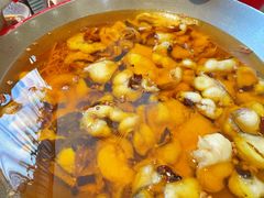 -正兴蜀园(科技园区店)
