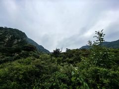 -阳台山自然风景区