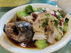 招财鲈鱼-宝发园名菜馆