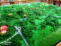 -海口火山口国家地质公园