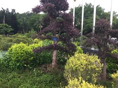 麒麟山庄-深圳麒麟山庄