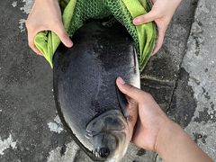 -特种渔场