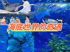 -泉城欧乐堡海洋极地世界