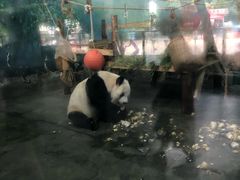 -无锡动物园·太湖欢乐园