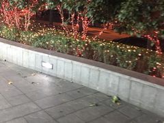 -三人行骨头王火锅(长寿店)