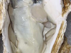 蒜蓉生蚝-船梆煮•蒸汽海鲜·生腌干蒸(五四广场店)