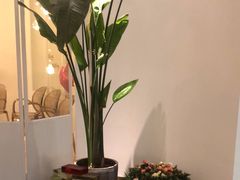 -ins森林童话餐厅coffee&bistro