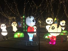 -祥源·阜阳生态乐园