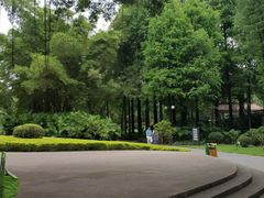 -晓港公园