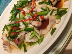 -年辉渔村·非遗传承餐厅(新丰江店)