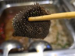 -好得火锅(育才店)