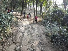 -黄埔油麻山森林公园