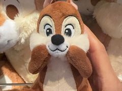 -巴黎迪士尼乐园