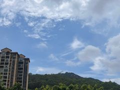 -明兴猪肚鸡·清远26年老字号(玄真漂流店)