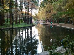 -上海共青森林公园