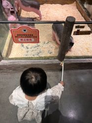 -造物庄园 萌宠纪(苏州湾歌林公园店)