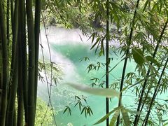 -三峡人家风景区