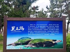 -海驴岛(荣成市)