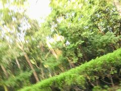 -紫霞湖公园