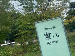 -岚山猴子公园