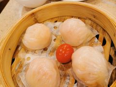 金牌虾饺皇-点都德(大茶楼店)