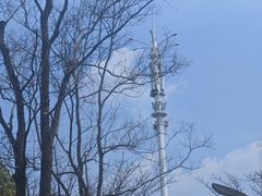 -洋湖国家湿地公园