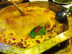 -蜀九香火锅(彩虹店)