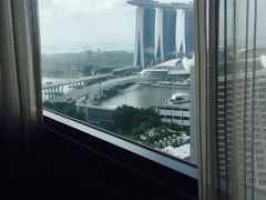 新加坡泛太平洋大酒店-新加坡泛太平洋酒店