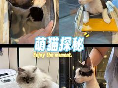 -宠颐生斯嘉宠物医院·急重症·心内科(谷阳北路分院)