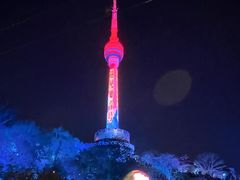 -龟山风景区-龟山电视塔