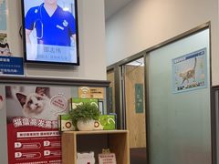 -伟伟宠物医院·瑞派猫友好医院·猫科(光谷店)