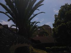 -世界恐龙谷景区