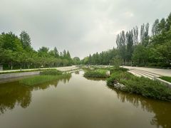 -大望京公园