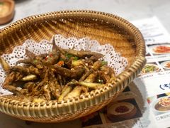 -大榕树下顺德菜(融创茂店)