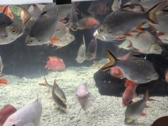 -太平洋海底世界