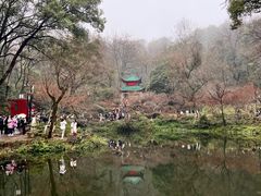 -岳麓山风景名胜区