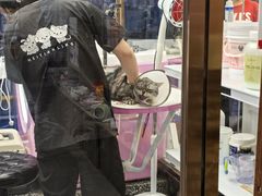 -FAELING PETS美天灵宠物(富力广场店)
