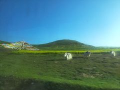 -日月山景区